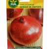 Semillas Cebolla