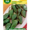 Semillas Pimiento